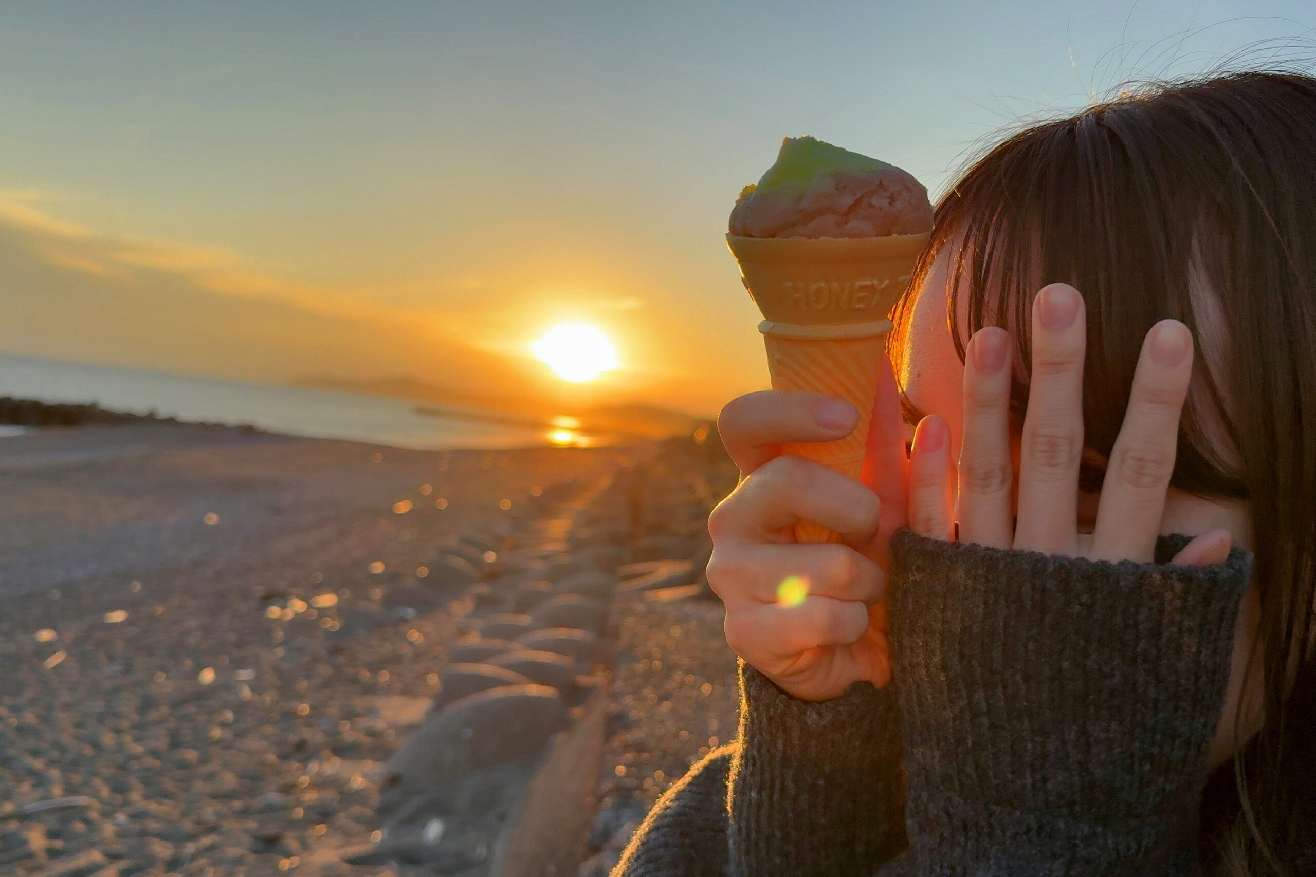 夕暮れの高知の自然